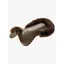 Acavallo Just Gel Lambskin Half Pad Brown